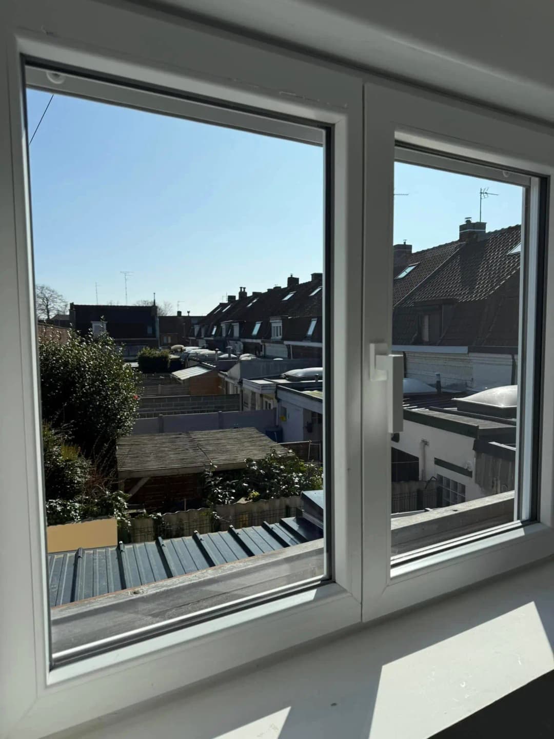 Nettoyage des vitres à Lys Lez Lannoy, par Paandawlv, Laveur de vitres professionnel