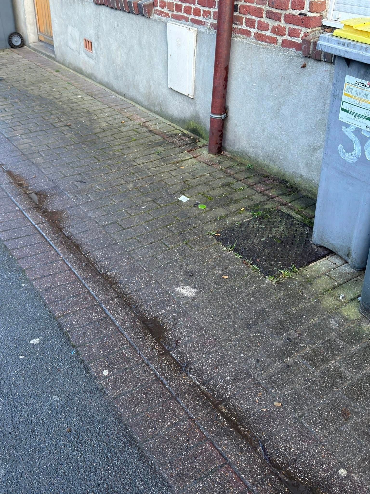 Devanture de maison encrassée par la mousse et la pollution à Lille avant nettoyage haute pression - par Paandawlv