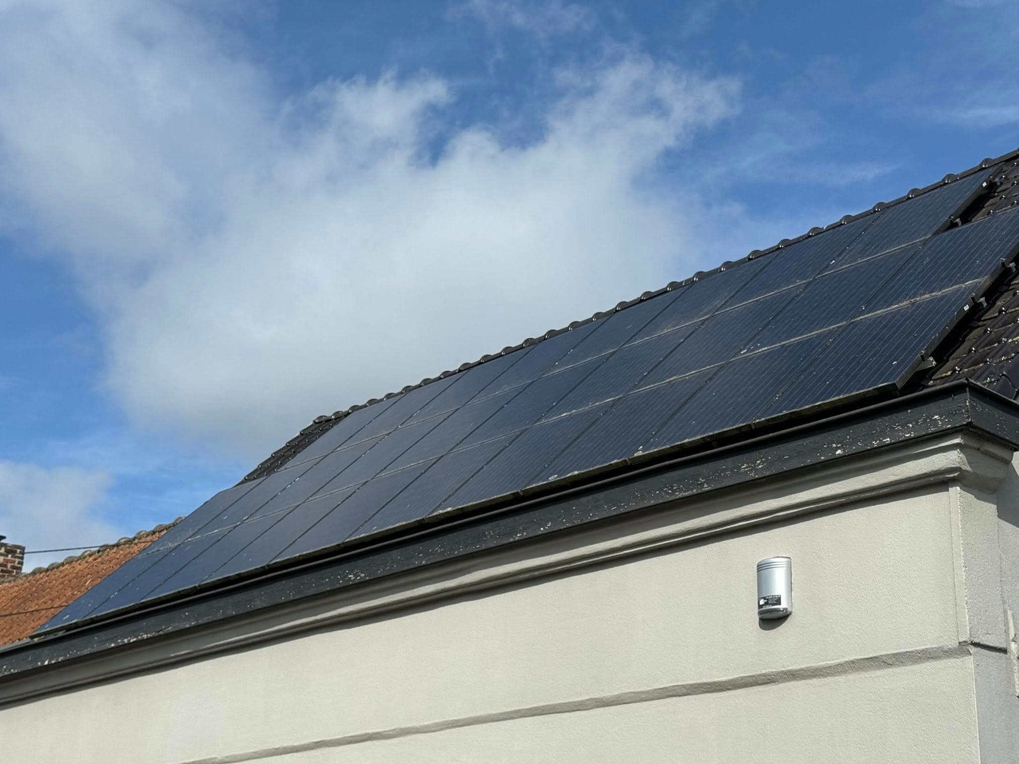 Panneaux solaires encrassés par les lichens et champignons à Templeuve avant nettoyage professionnel